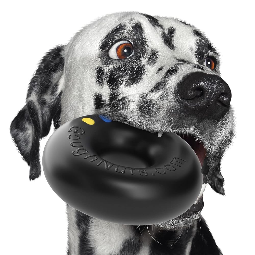 Top 7 Dog Toys for Large Dogs