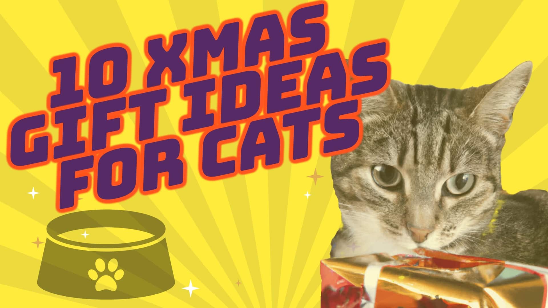 Purrfect Presents: 10 Christmas Gifts Ideas for Your Feline Friend in 2023